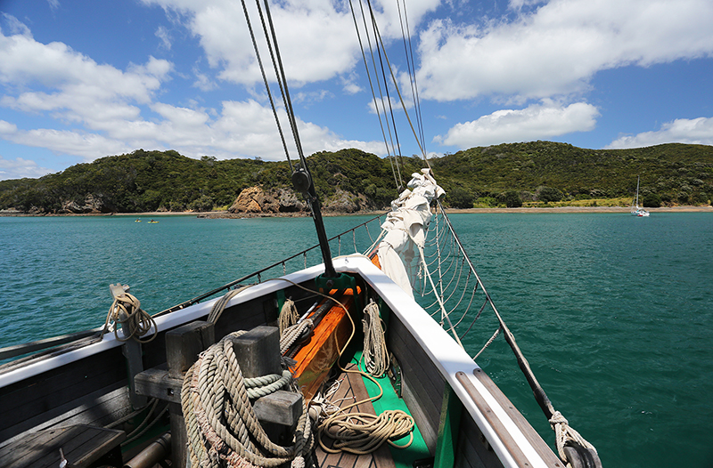 Sail on the R Tucker Thompson, Bay of Islands, NZ